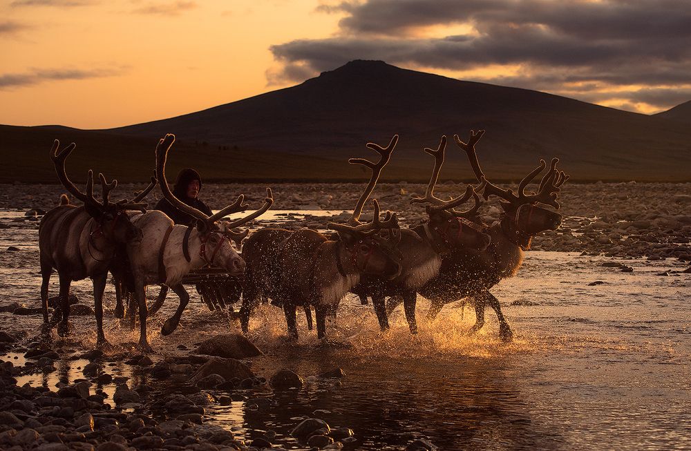 Nomads Of The Polar Urals (Кочевники Полярного Урала)