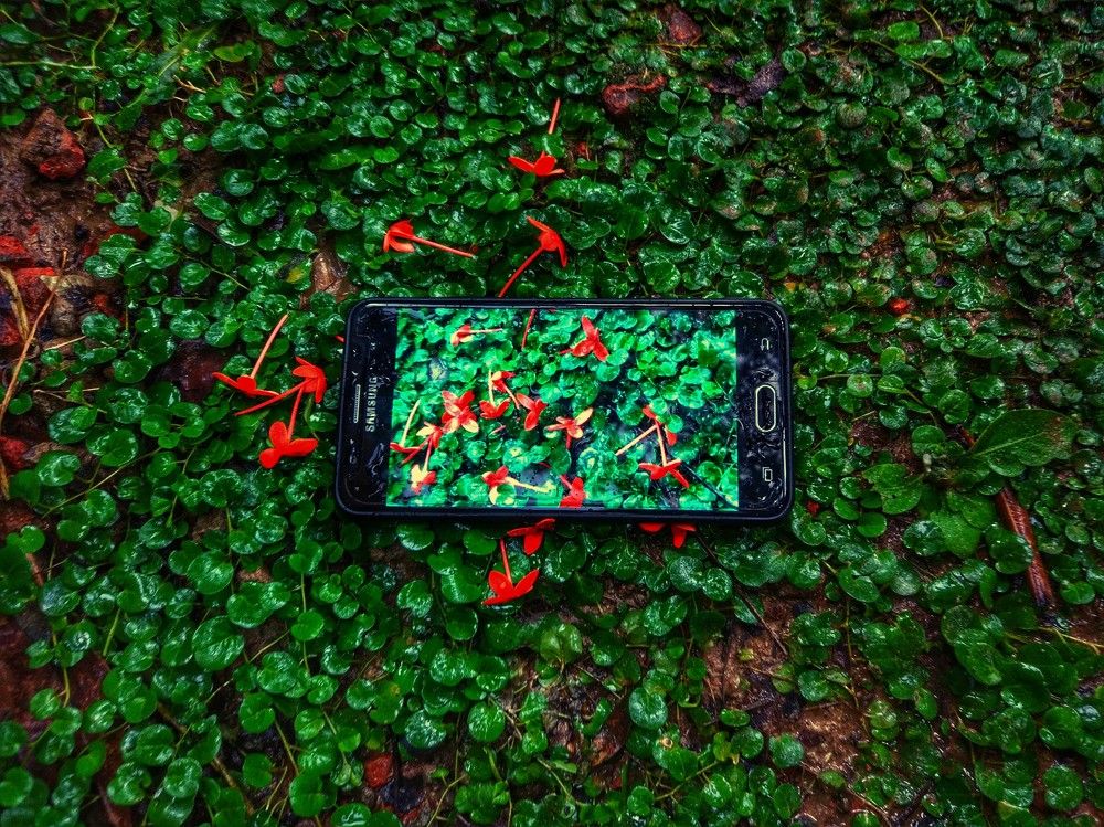 Device with Nature