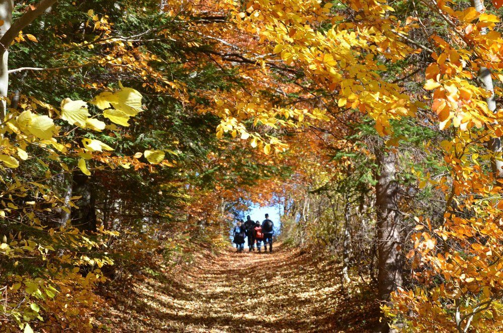 Pieniny National Park