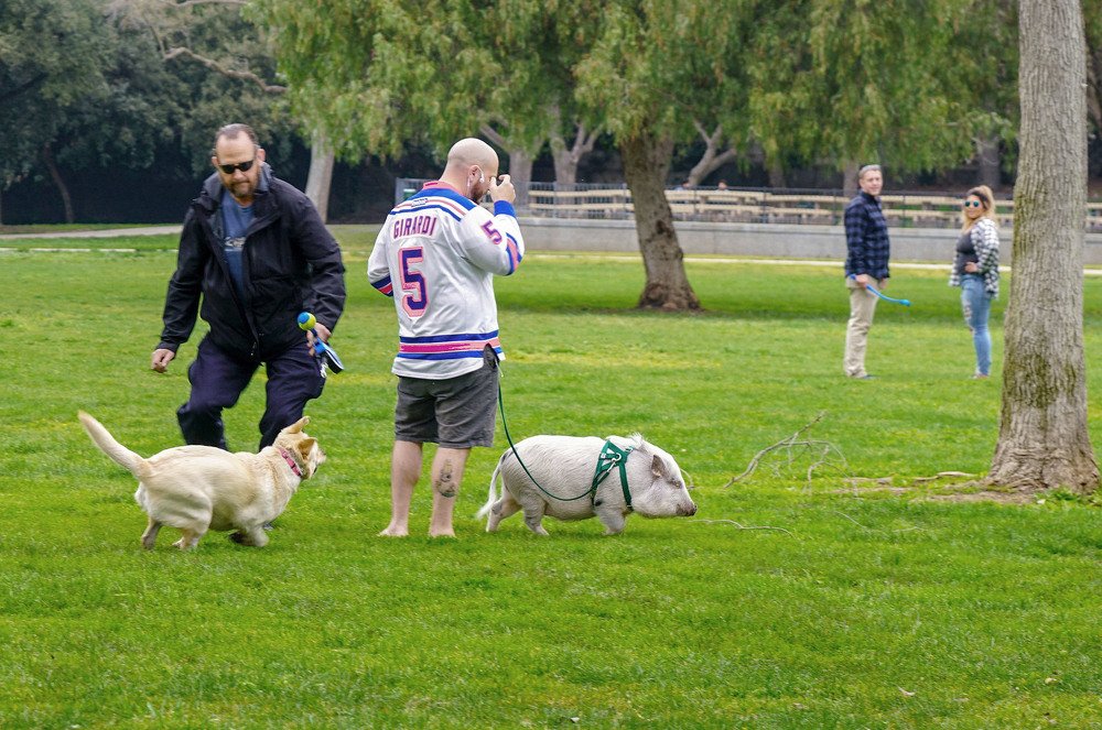 Зато не лает