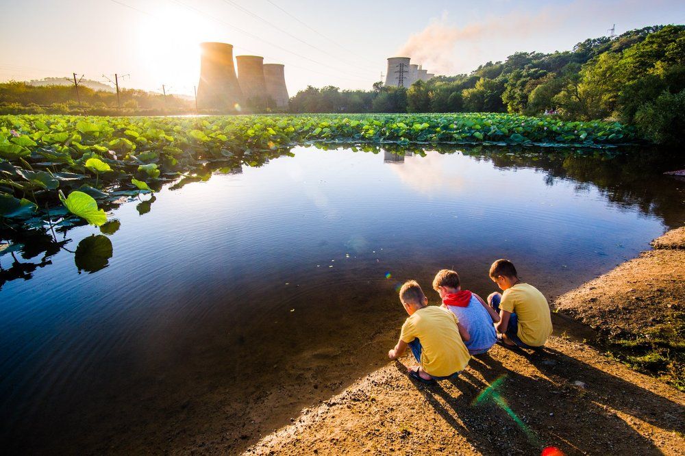 Озеро лотосов