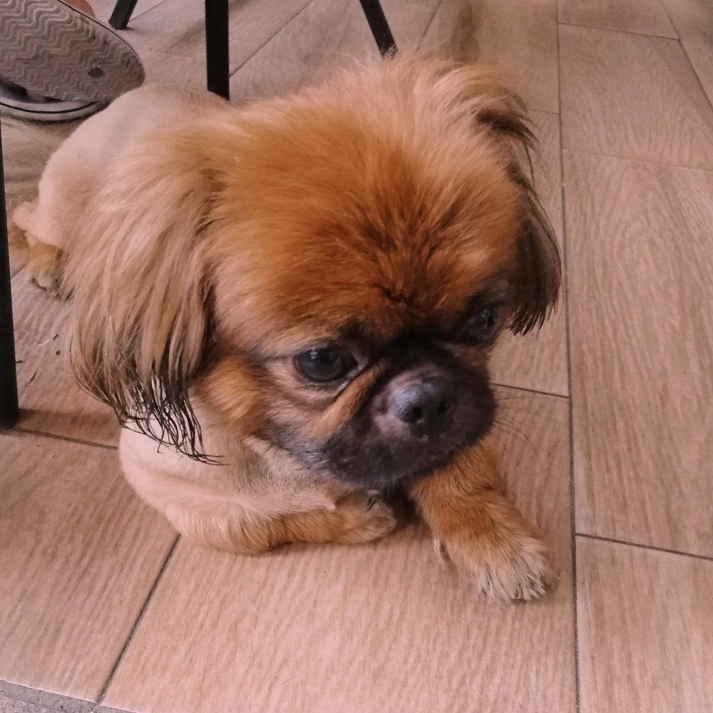 Фотография автора Валентин Ефимов