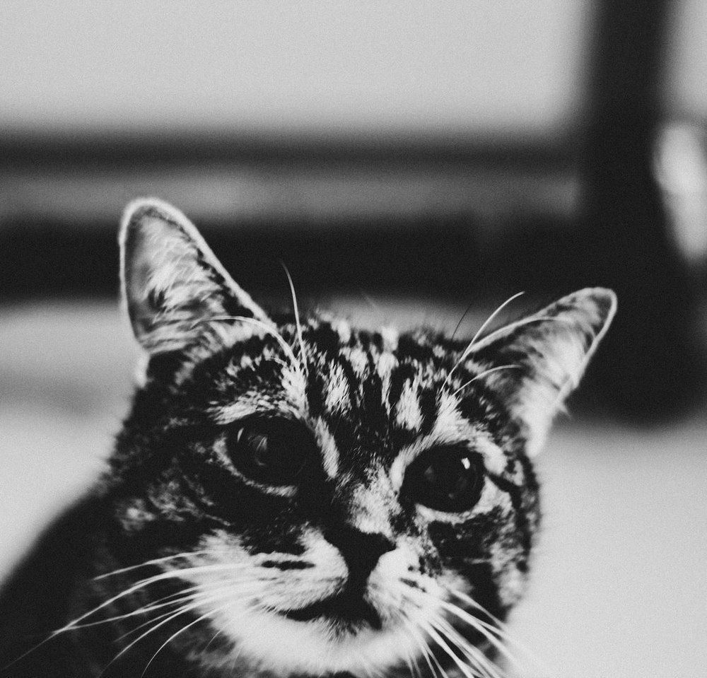 Photograph by Виктор