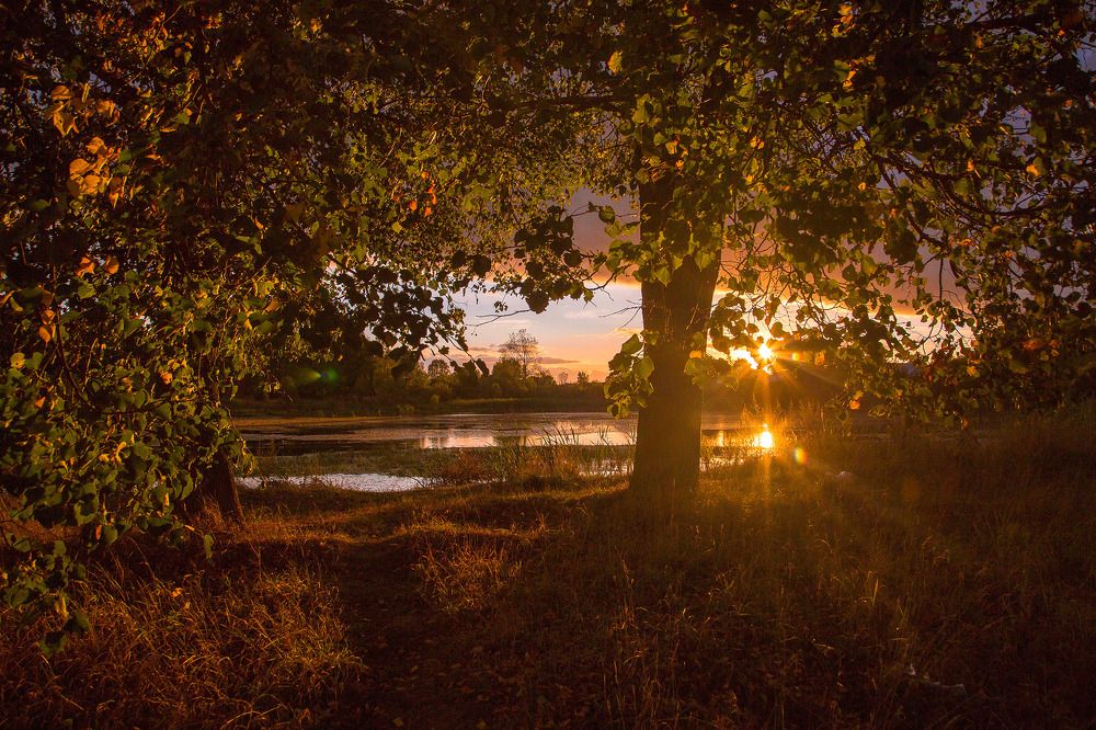 Photograph by Воробьёв Евгений