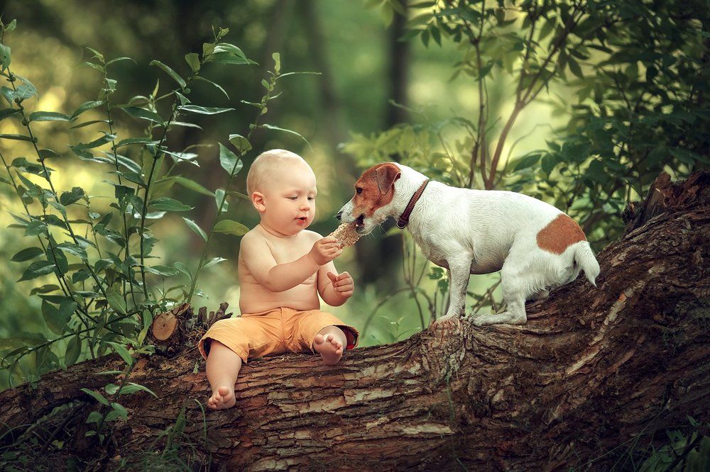 Photograph by Ольга Балакир