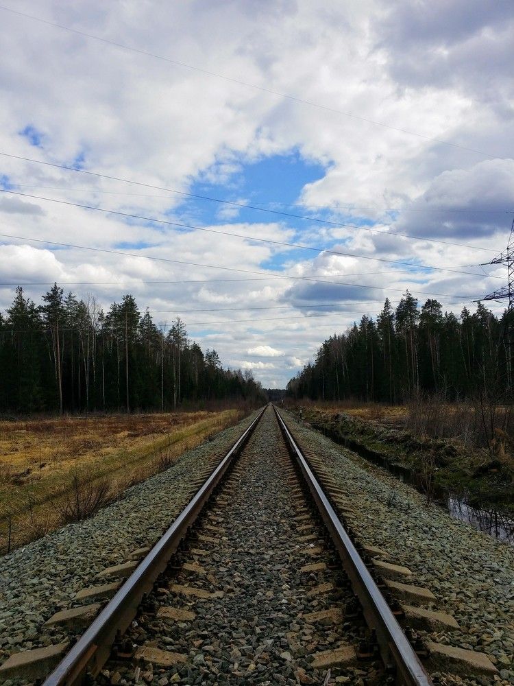 Photo #2548454
