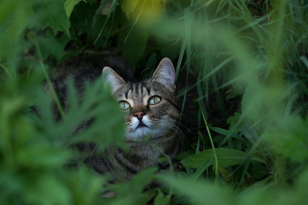 Photograph by Владимир Янчук