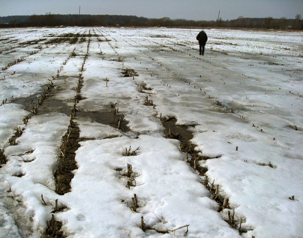 "Ещё в полях белеет снег..."