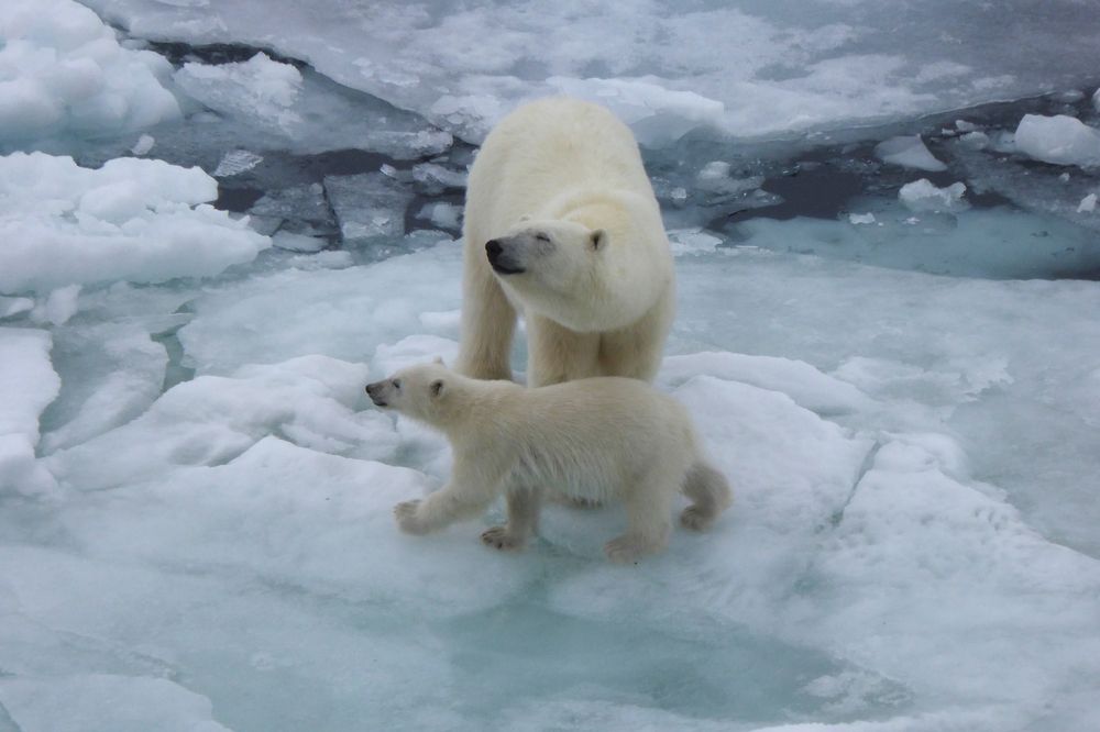 Я от него балдею!
