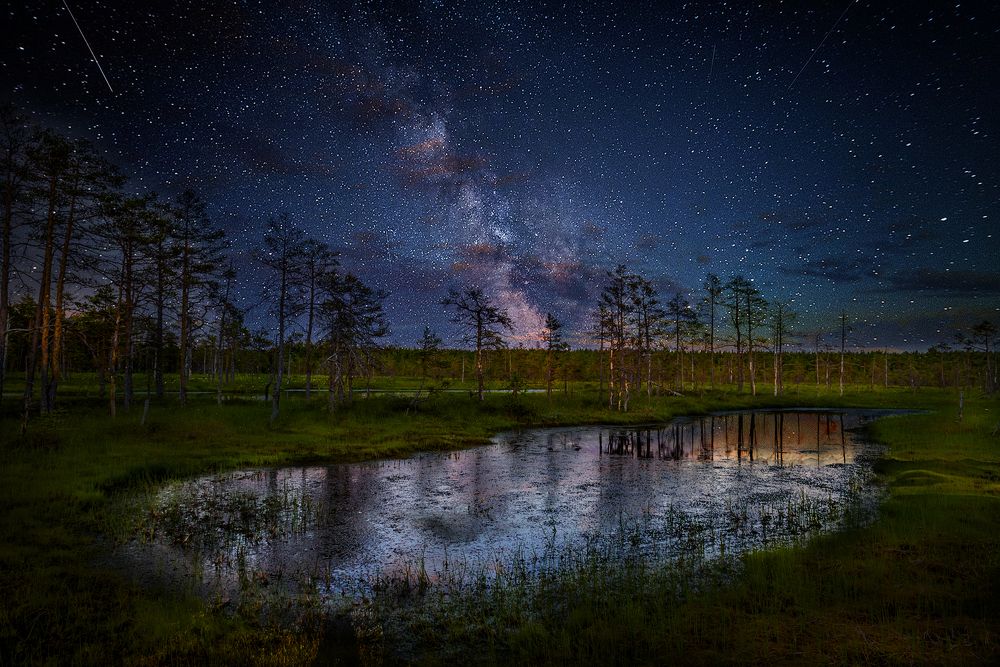 Сумеречная  тишина