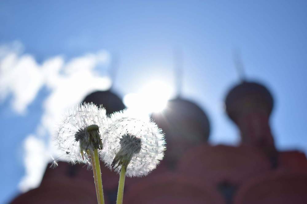 Диалог красного и белого