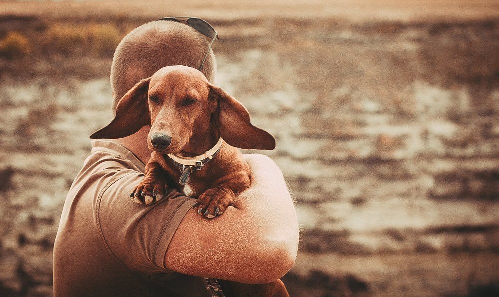 Photograph by Ольга Никонорова