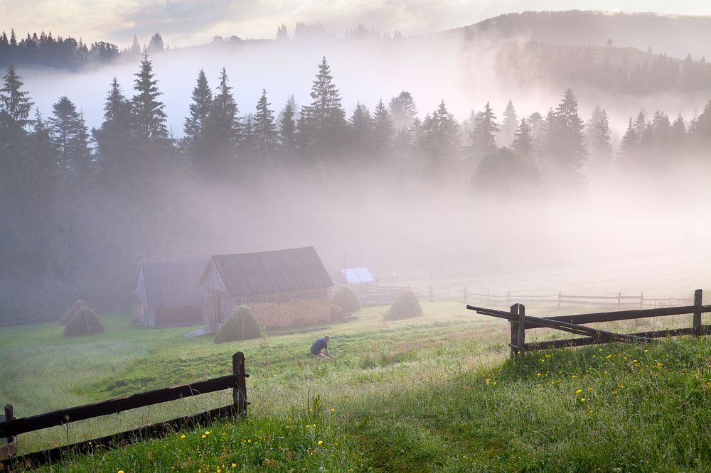 Время косить сено