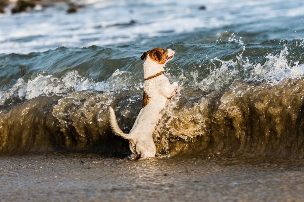 За секунду до...)