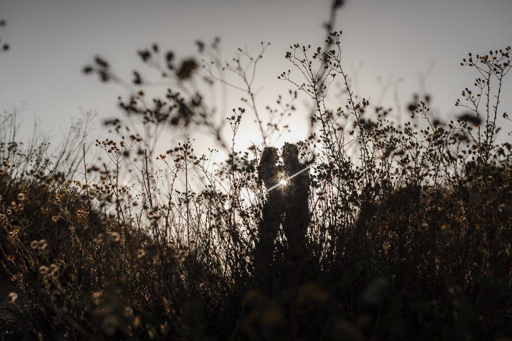 Photograph by Баринская Мария