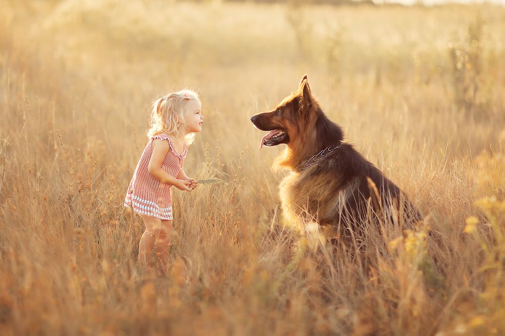 Photograph by Екатерина Белоножкина