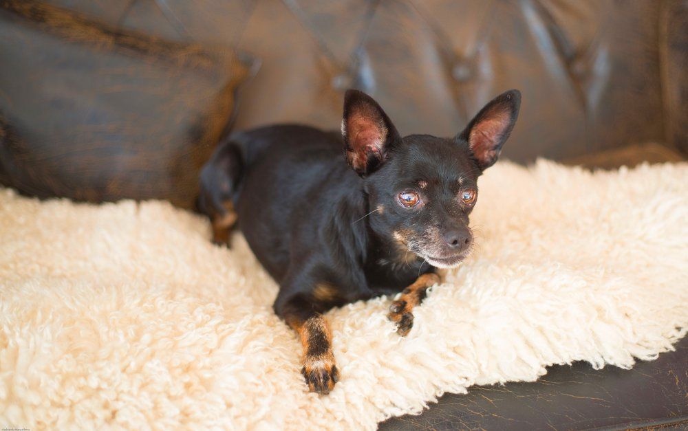 Photograph by Надежда Моряхина