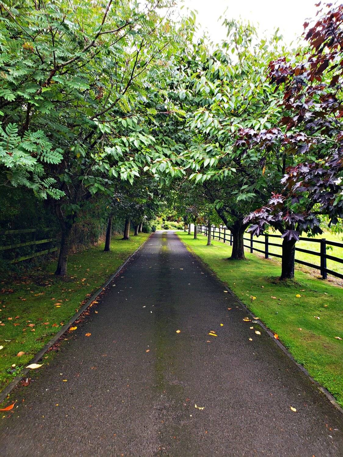 Where the road will lead