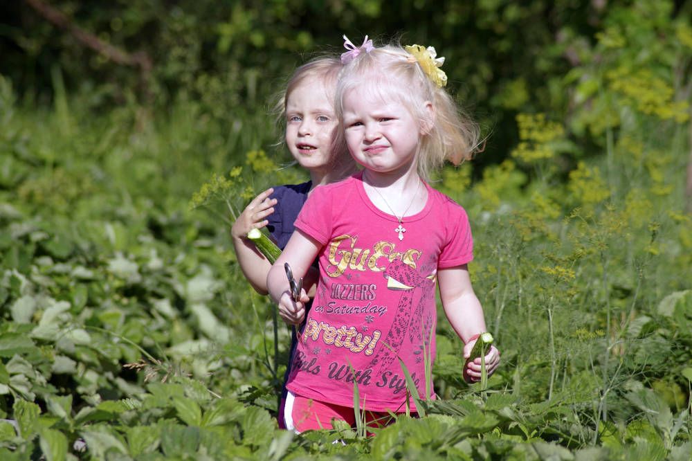 огородная пора