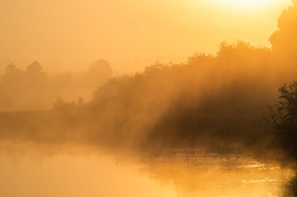 Photograph by Евгений Новицкий