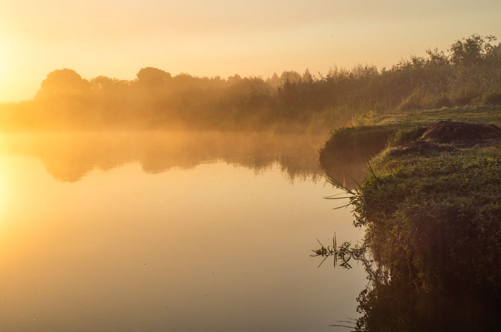 Photograph by Евгений Новицкий