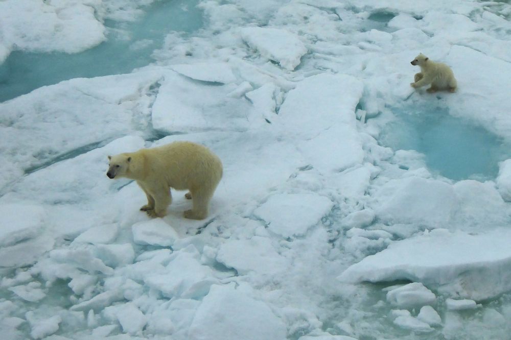 Мама пошла на разведку