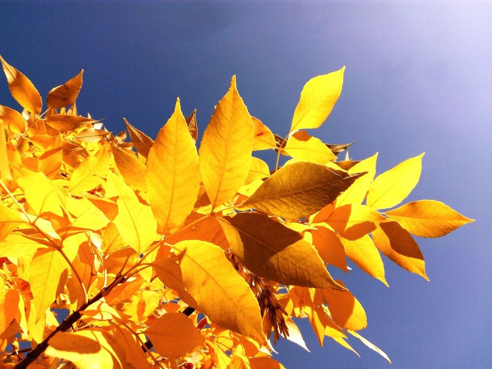 Photograph by Влад Богаткин