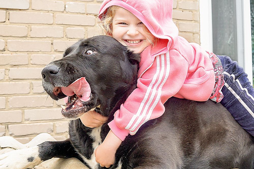 покатай меня, большая черепаха...