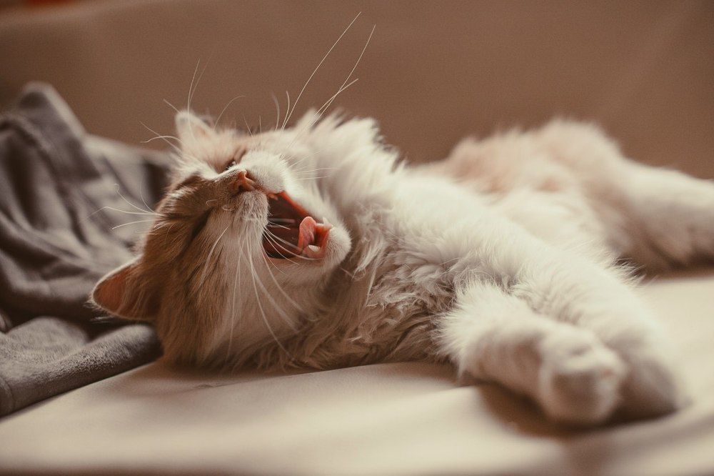 Photograph by Ксения