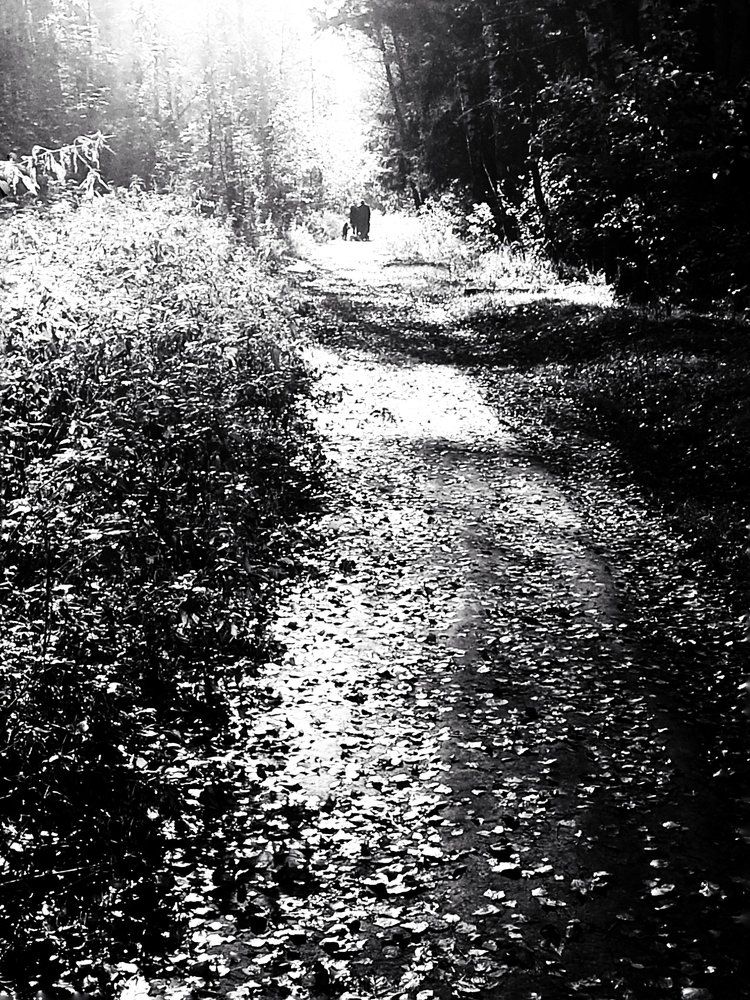 Photograph by Людмила М