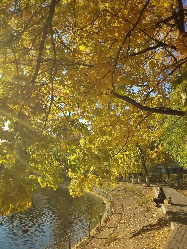 Осеннее тепло