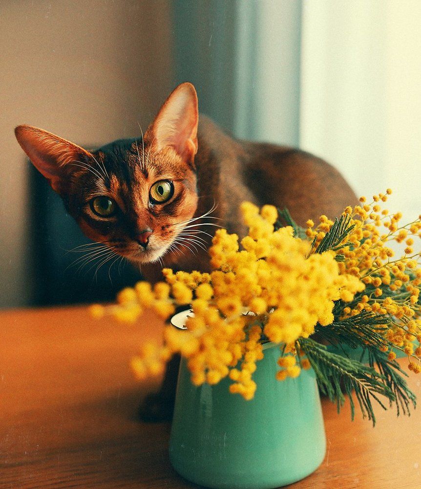 Photograph by Наталья Мишина