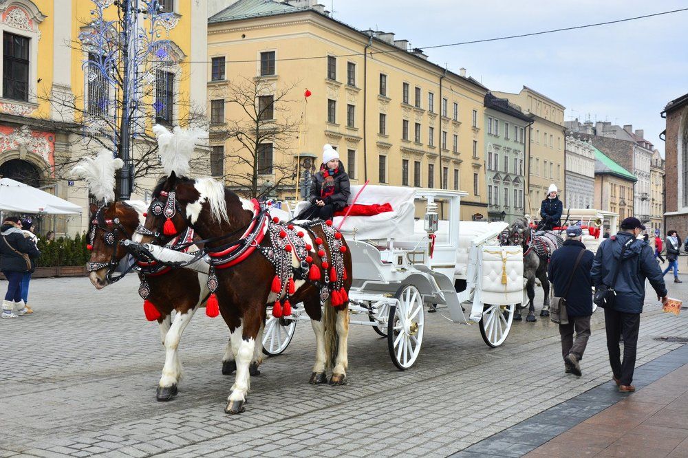 Не проходите мимо
