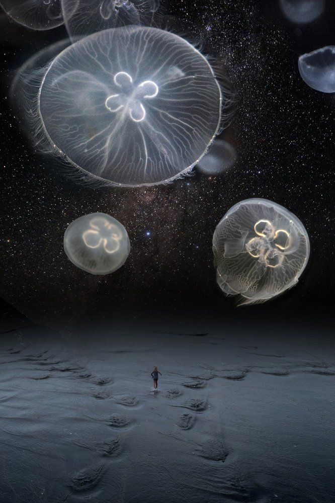 Убегая в бесконечность