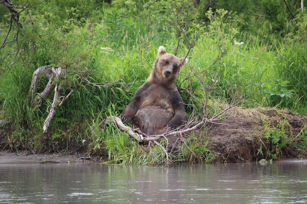 Кажется, я встретил Будду.