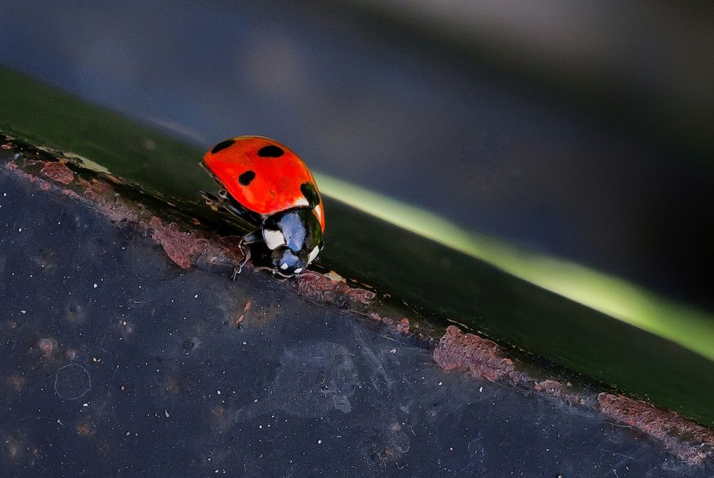 Photograph by Дмитрий Александров