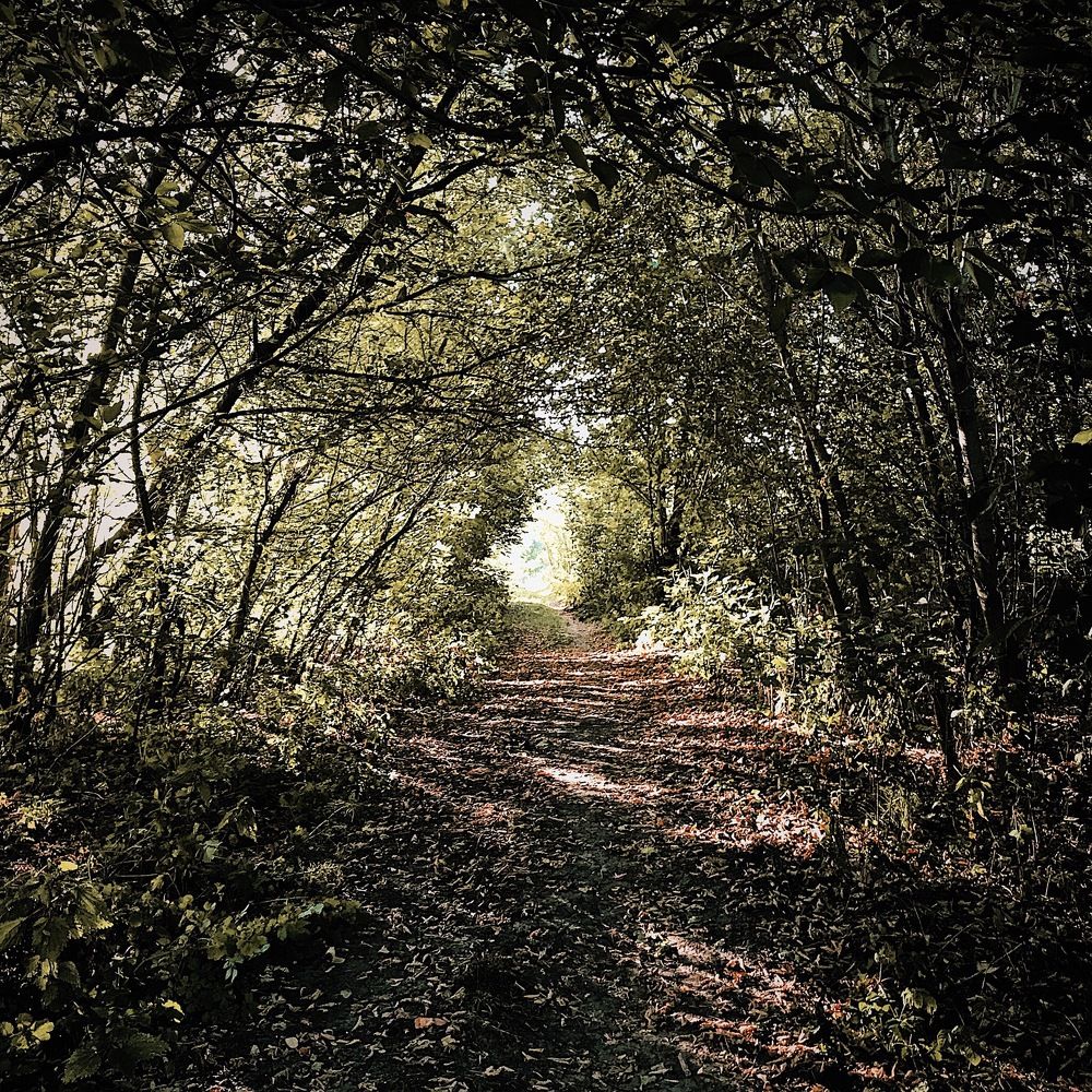 Photograph by Alexandr Cyte