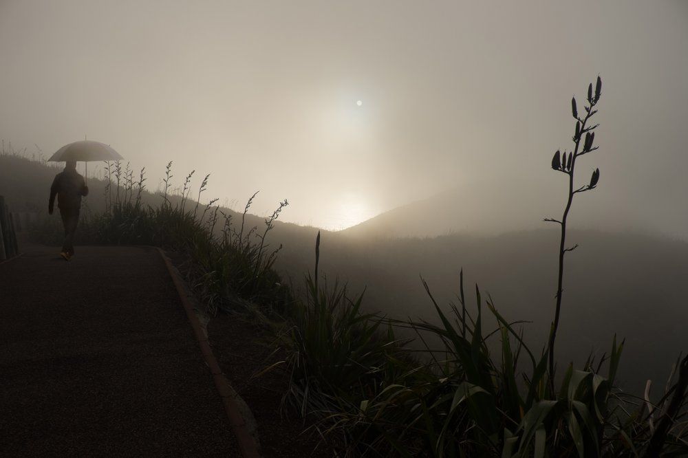 Прогулка в тумане по мысу Реинга, Новая Зеландия