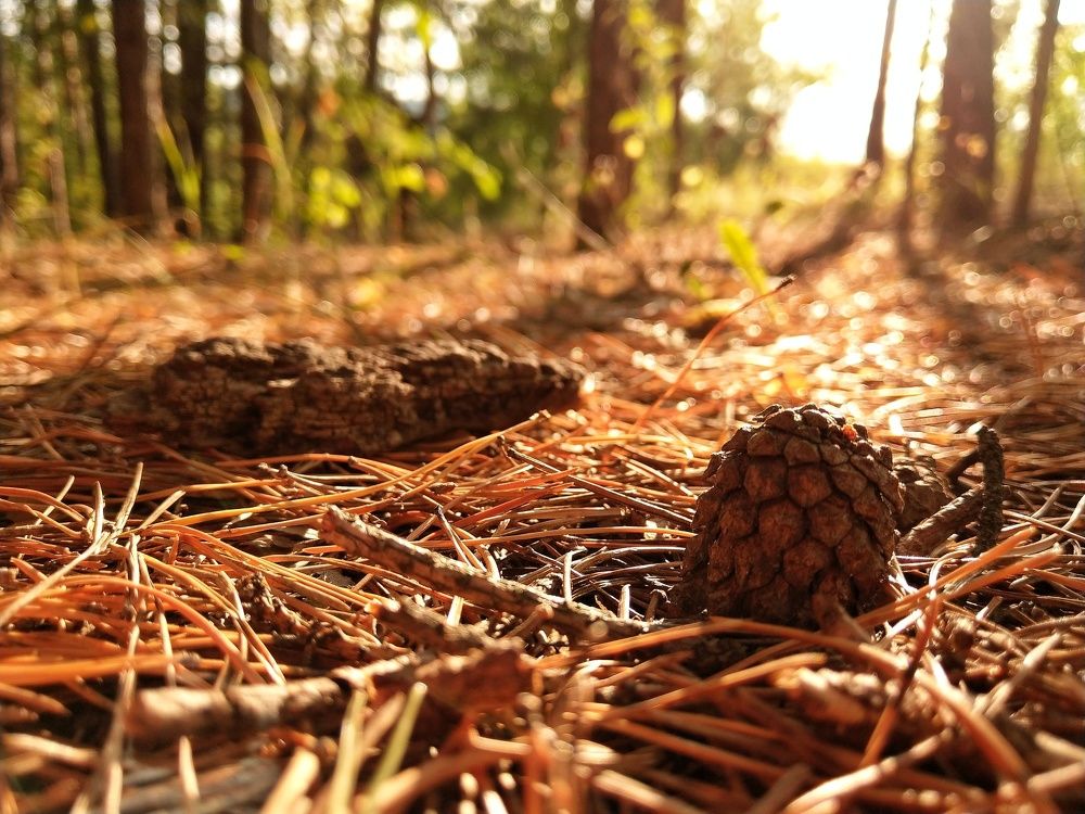 Под лучами солнца.