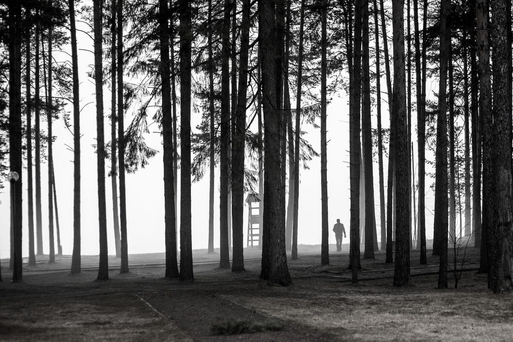 Photograph by Юлия Лоза