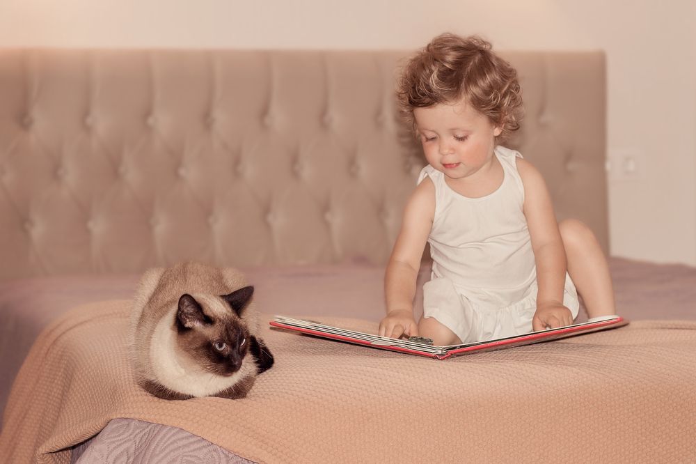 Photograph by Марина Мамонова