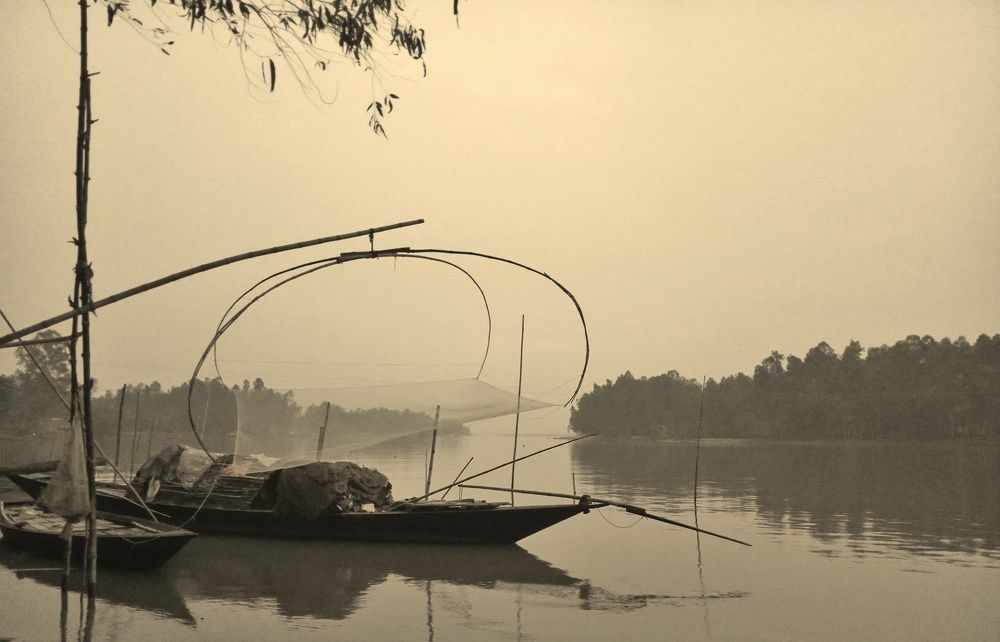 Photo #2550327