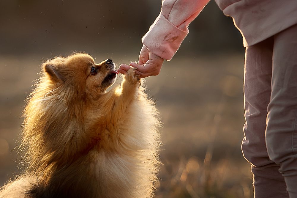 Photograph by Ольга Чебунина