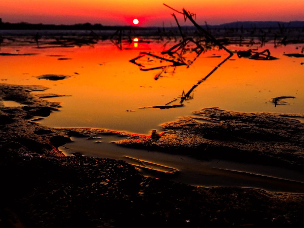 Photograph by Екатерина Новгородцева