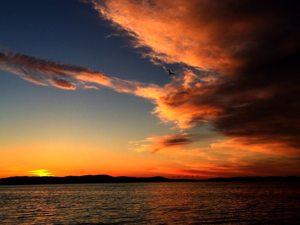 Photograph by Екатерина Новгородцева