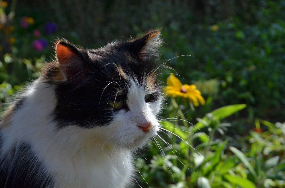 Скоро осень