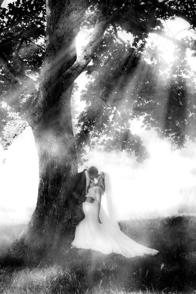 В тени ветвистого клёна