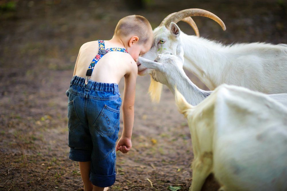 мы с тобой одной крови