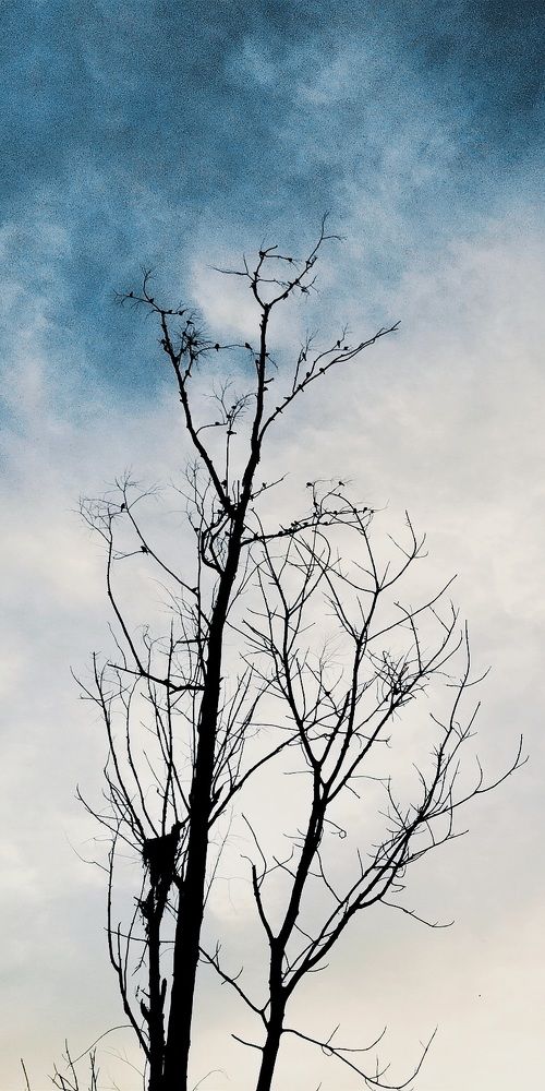 Photograph by naeemhossain