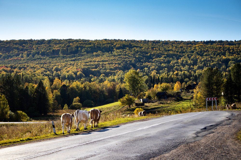 Photograph by Терентьев Георгий